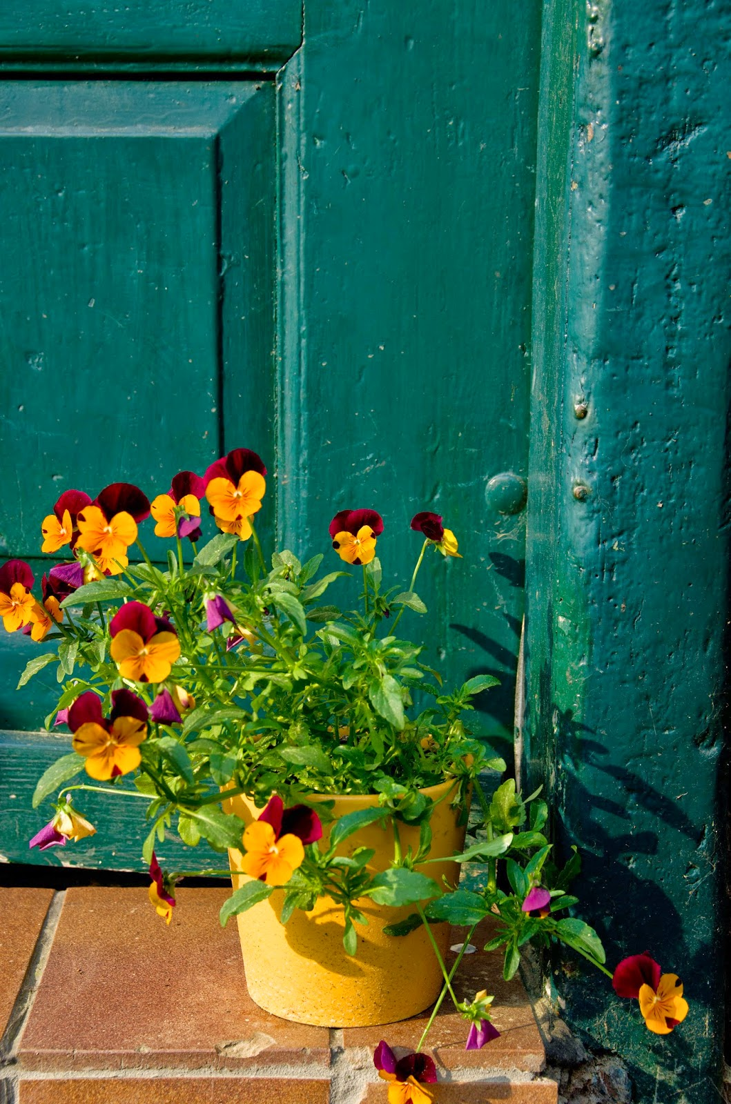 Blumenkübel vor grüner Tür.jpeg